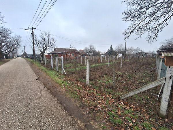 Virágos, Hódmezővásárhely 2. képe