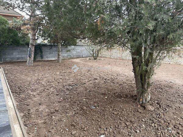 Faludi Ferenc, Pécs képe