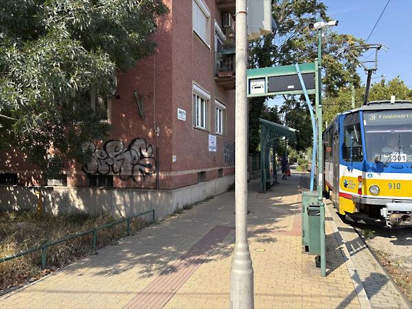 József Attila, Szeged 2. képe