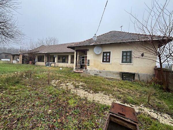 Fő, Kisigmánd képe