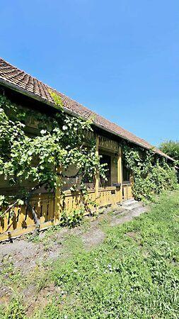 Táncsics Mihály, Kazincbarcika 2. képe