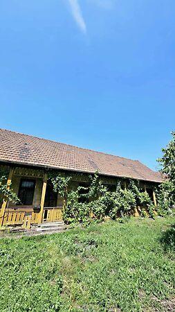 Táncsics Mihály, Kazincbarcika 3. képe