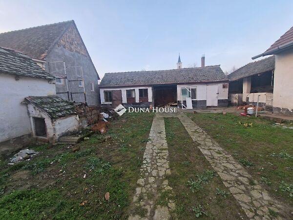 Petőfi, Lánycsók 2. képe