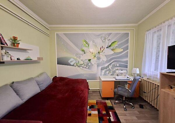 Dózsa György, Telekgerendás 3. képe