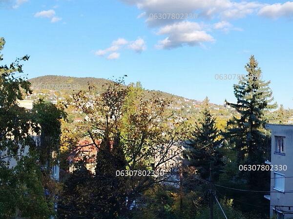 Tárogató, Budapest, II. kerület képe