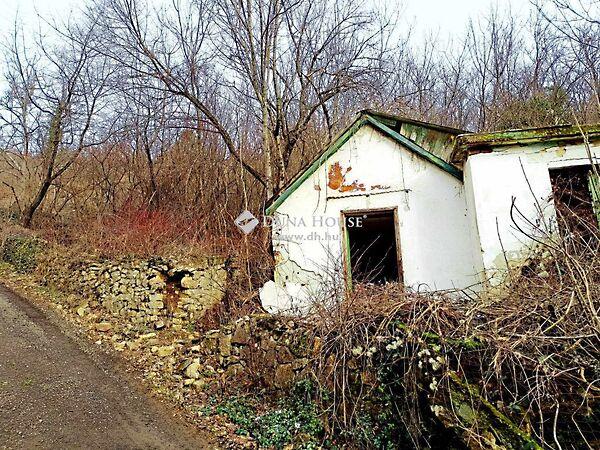 Szkókó tető, Pécs képe