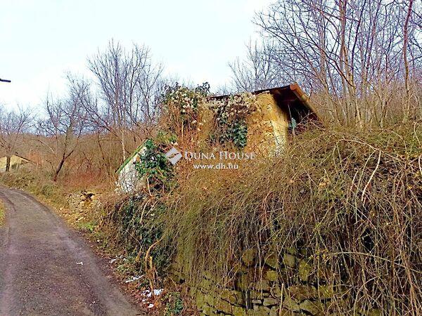 Szkókó tető, Pécs 2. képe