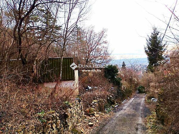 Szkókó tető, Pécs 3. képe