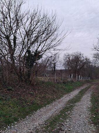 Köztársaság, Martonfa képe