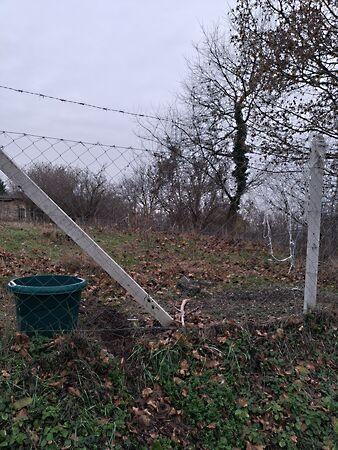 Köztársaság, Martonfa 3. képe