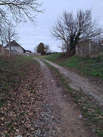 Köztársaság, Martonfa 2. képe