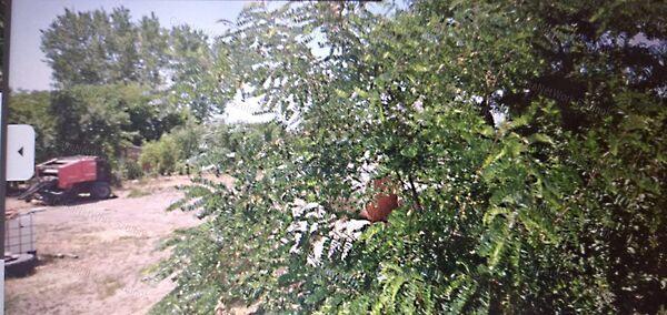 Tiszaföldvár 3. képe