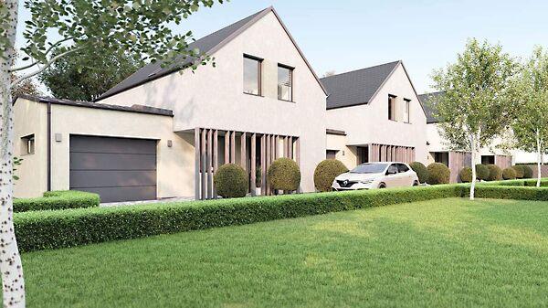 Búza, Pákozd képe