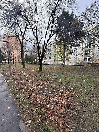 Sárköz, Budapest, XIV. kerület 3. képe