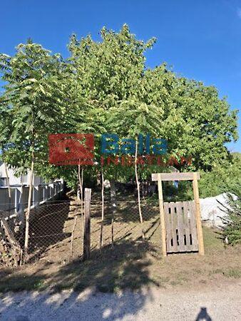 Budapest, XVI. kerület képe