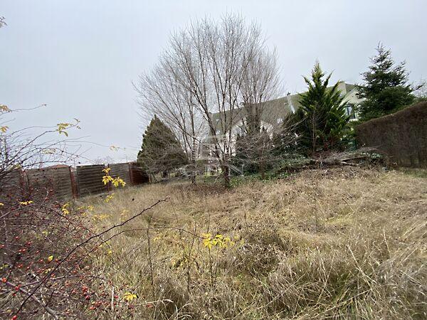 Nemes, Budapest, XVIII. kerület 2. képe