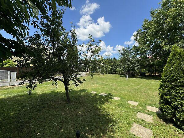 Petőfi Sándor, Villány 2. képe