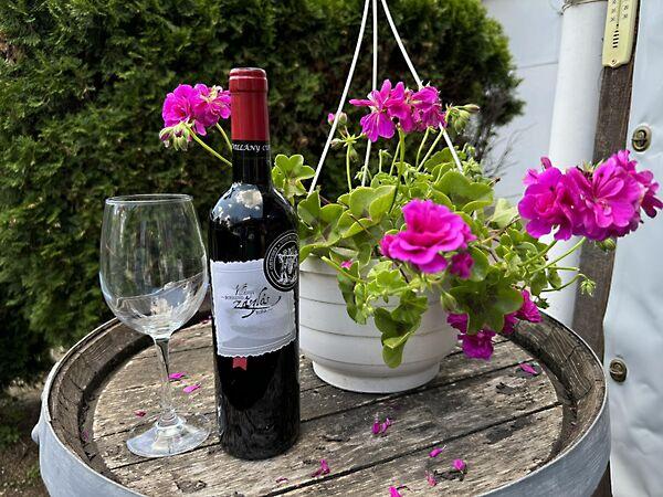 Petőfi Sándor, Villány 3. képe