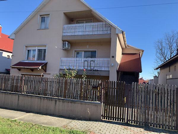 Szirmabesenyő képe