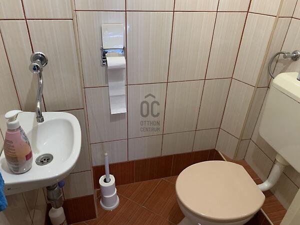 Szirmabesenyő 2. képe