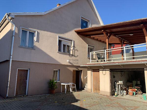 Szirmabesenyő képe