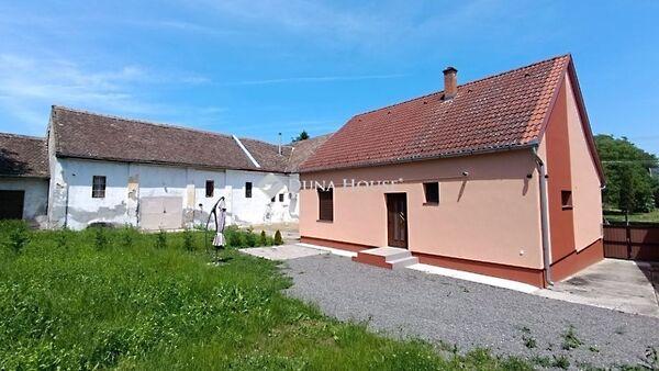 Kossuth Lajos, Lippó 3. képe