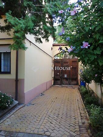 Mester, Kecskemét 3. képe