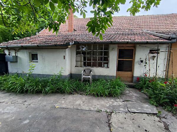 Kiskunhalas 2. képe