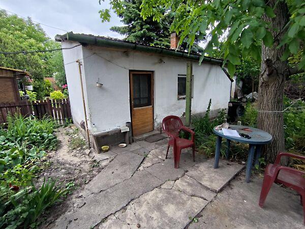 Kiskunhalas 3. képe