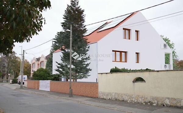 Faludi Ferenc, Pécs képe