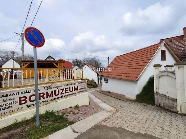 Bem József, Villány képe