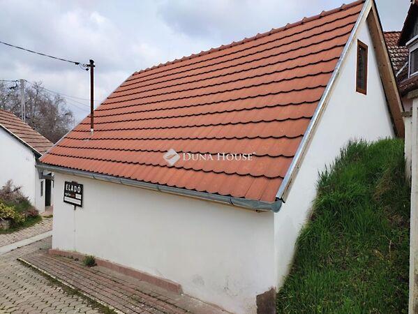 Bem József, Villány 2. képe