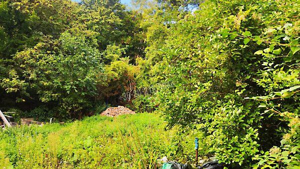 Budapest, II. kerület 3. képe