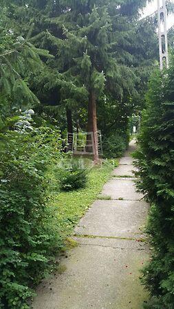 Hegyalja, Kismaros 3. képe