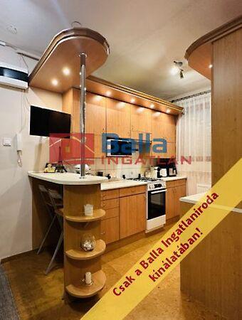 Horváth Mihály, Hatvan képe