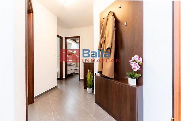 Levendula, Budapest, XIV. kerület képe