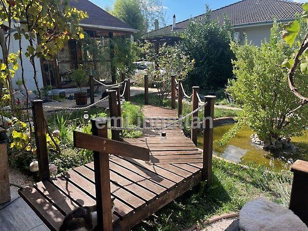 Szigethalom 2. képe