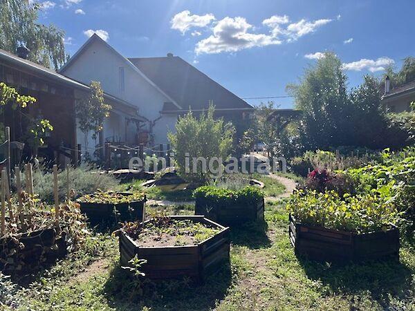 Szigethalom 3. képe