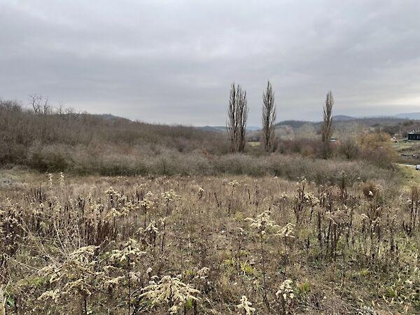 Királyvölgy, Tinnye 2. képe