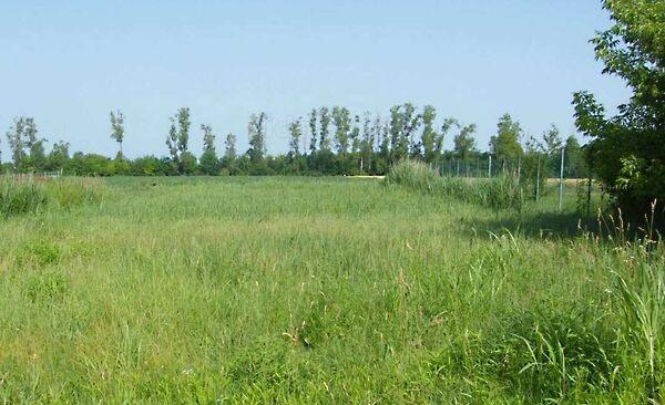 Balatonszabadi 2. képe