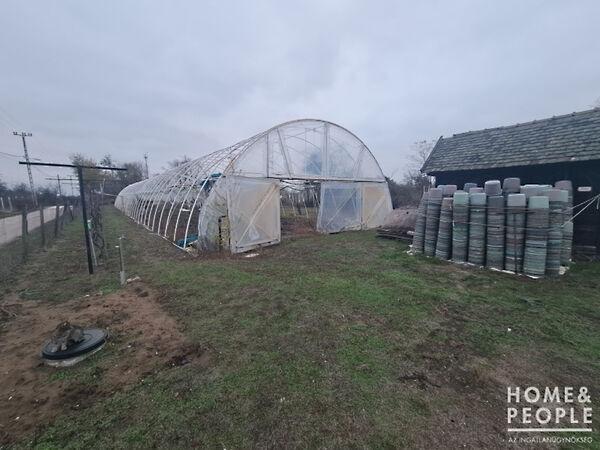 Hódmezővásárhely 2. képe