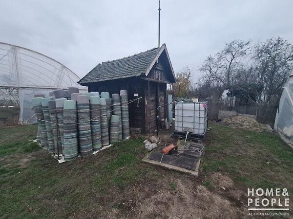 Hódmezővásárhely 3. képe