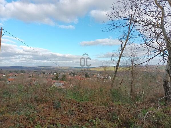 Kehidakustány 2. képe