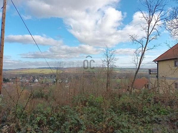 Kehidakustány 2. képe