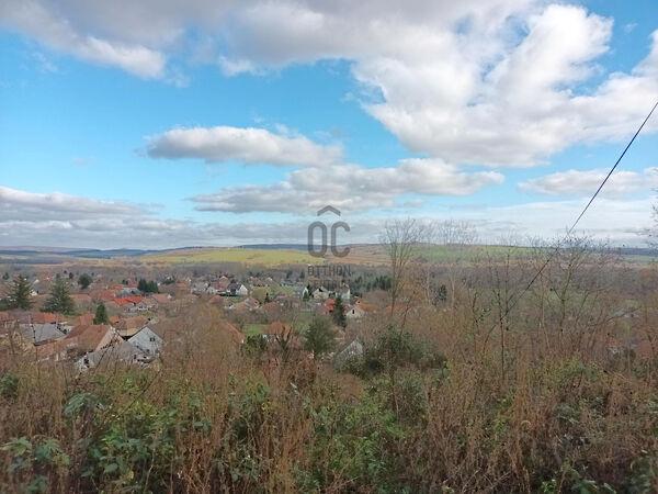 Kehidakustány 2. képe