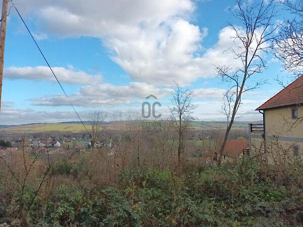 Kehidakustány 3. képe