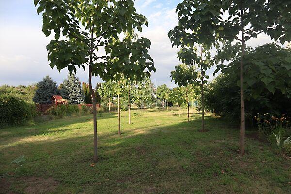 ELADÓ építési telek -, Kulcs 3. képe