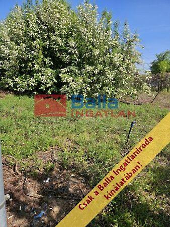 Köztársaság, Ráckeve 2. képe