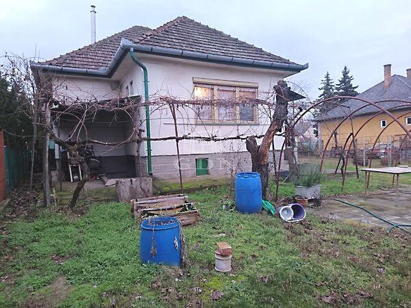 Virág, Veresegyház képe