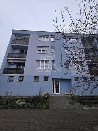 Csónakázó tó, Pétfürdő 3. képe